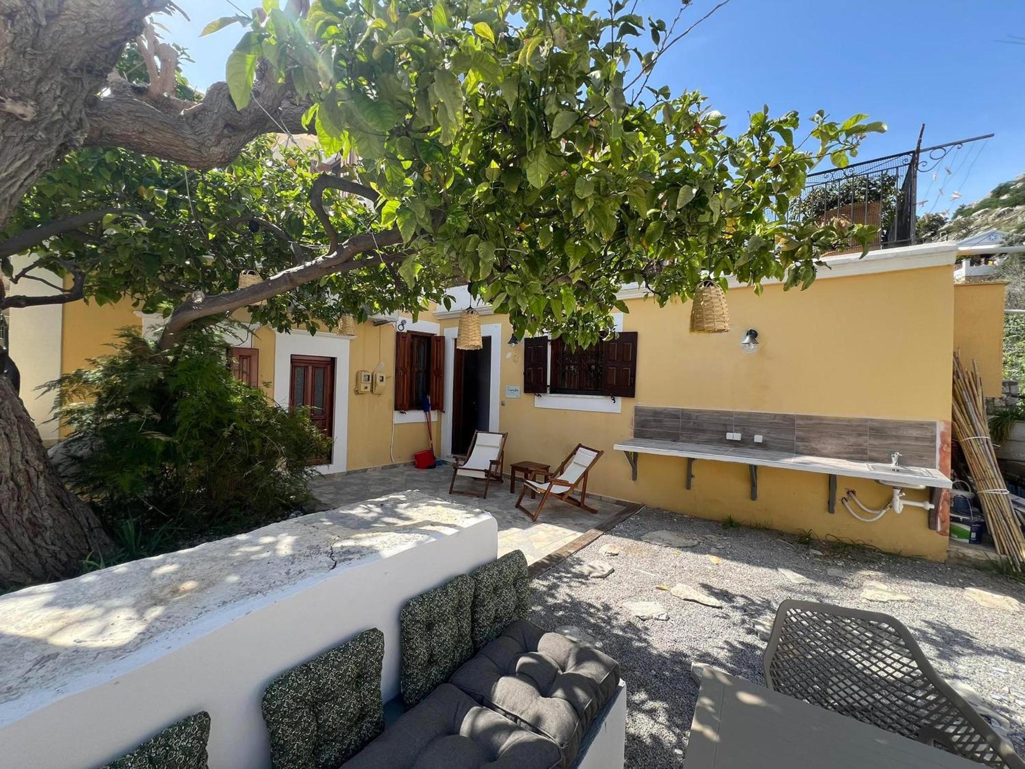 Apartment Lemon Tree